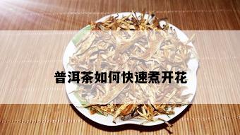 普洱茶如何快速煮开花