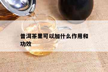 普洱茶里可以加什么作用和功效