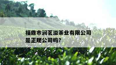 福鼎市润茗溢茶业有限公司是正规公司吗?