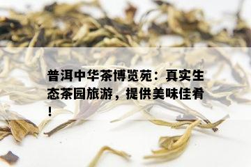 普洱中华茶博览苑：真实生态茶园旅游，提供美味佳肴！