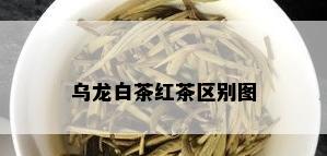 乌龙白茶红茶区别图