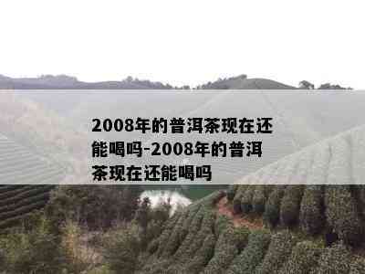 2008年的普洱茶现在还能喝吗-2008年的普洱茶现在还能喝吗