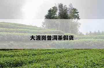 大渡岗普洱茶假货