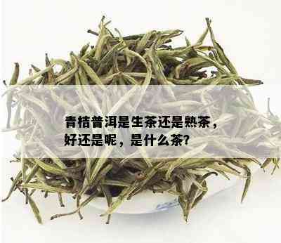 青桔普洱是生茶还是熟茶，好还是呢，是什么茶？