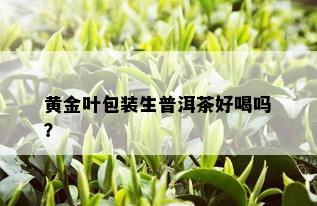 黄金叶包装生普洱茶好喝吗？