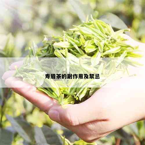 寿眉茶的副作用及禁忌