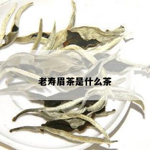 老寿眉茶是什么茶