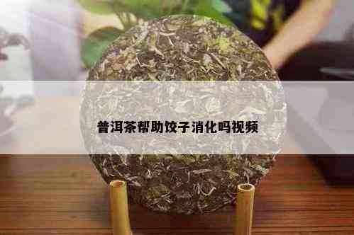 普洱茶帮助饺子消化吗视频