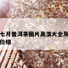 七月普洱茶图片高清大全及价格