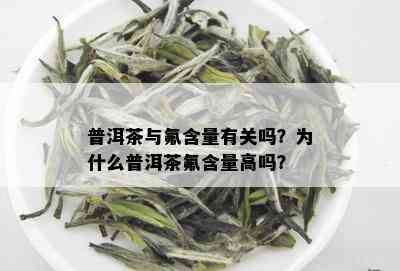 普洱茶与氟含量有关吗？为什么普洱茶氟含量高吗？