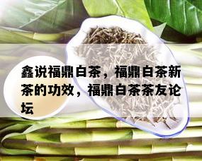 鑫说福鼎白茶，福鼎白茶新茶的功效，福鼎白茶茶友论坛