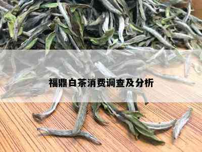 福鼎白茶消费调查及分析