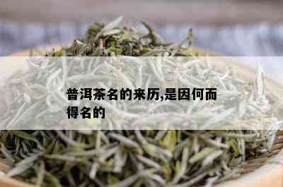 普洱茶名的来历,是因何而得名的