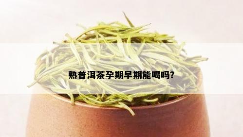 熟普洱茶孕期早期能喝吗？