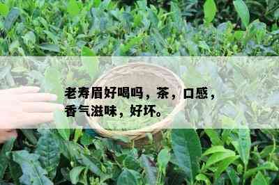 老寿眉好喝吗，茶，口感，香气滋味，好坏。