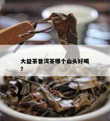 大益茶普洱茶哪个山头好喝？