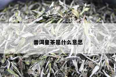 普洱皇茶是什么意思