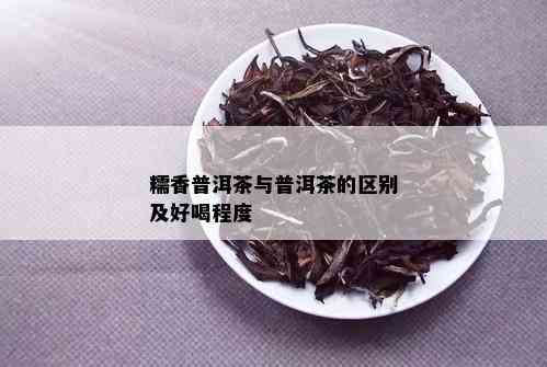 糯香普洱茶与普洱茶的区别及好喝程度