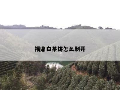 福鼎白茶饼怎么剥开