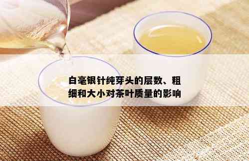 白毫银针纯芽头的层数、粗细和大小对茶叶质量的影响