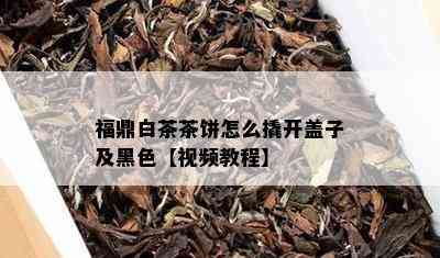 福鼎白茶茶饼怎么撬开盖子及黑色【视频教程】