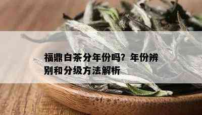 福鼎白茶分年份吗？年份辨别和分级方法解析