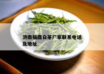 济南福鼎白茶厂家联系电话及地址