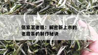 佰家茗老眉：解密新上市的老眉茶的制作秘诀