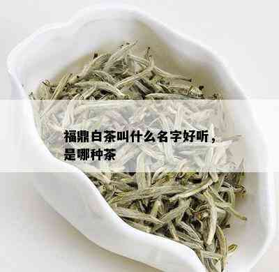 福鼎白茶叫什么名字好听，是哪种茶