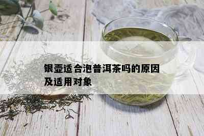 银壶适合泡普洱茶吗的原因及适用对象