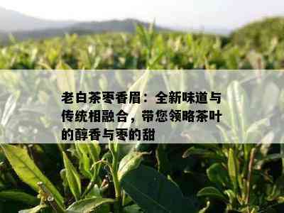 老白茶枣香眉：全新味道与传统相融合，带您领略茶叶的醇香与枣的甜