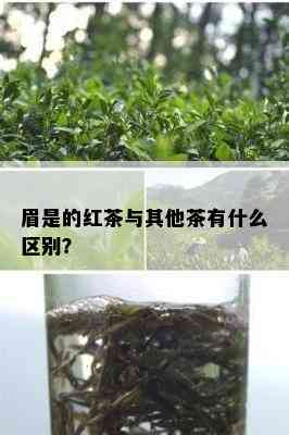 眉是的红茶与其他茶有什么区别？