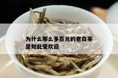 为什么那么多百元的老白茶是如此受欢迎