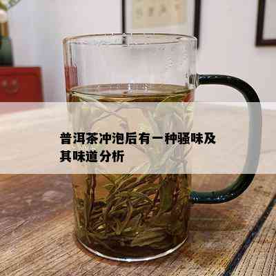 普洱茶冲泡后有一种骚味及其味道分析