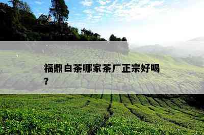 福鼎白茶哪家茶厂正宗好喝？