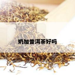 奶加普洱茶好吗