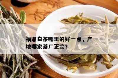 福鼎白茶哪里的好一点，产地哪家茶厂正宗？