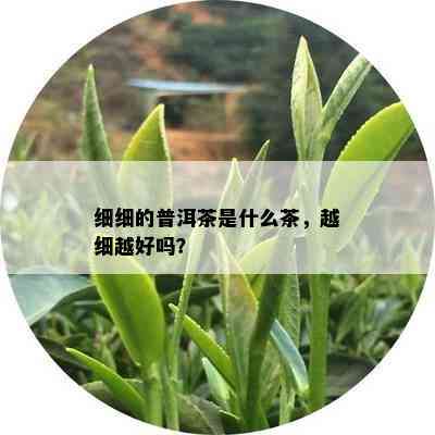 细细的普洱茶是什么茶，越细越好吗？