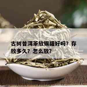 古树普洱茶放锡罐好吗？存放多久？怎么放？