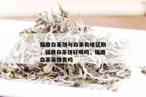 福鼎白茶饼与白茶有啥区别，福鼎白茶饼好喝吗，福鼎白茶茶饼贵吗