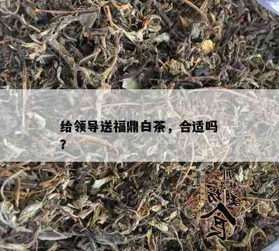 给领导送福鼎白茶，合适吗？