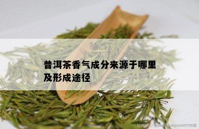 普洱茶香气成分来源于哪里及形成途径