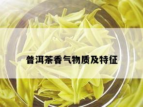 普洱茶香气物质及特征