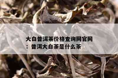 大白普洱茶价格查询网官网：普洱大白茶是什么茶