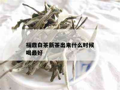 福鼎白茶新茶出来什么时候喝更好