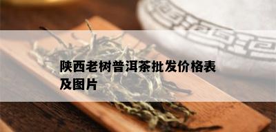 陕西老树普洱茶批发价格表及图片