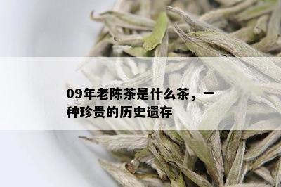 09年老陈茶是什么茶，一种珍贵的历史遗存