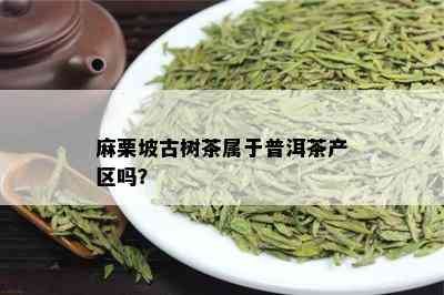 麻栗坡古树茶属于普洱茶产区吗？