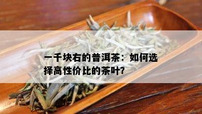 一千块右的普洱茶：如何选择高性价比的茶叶？