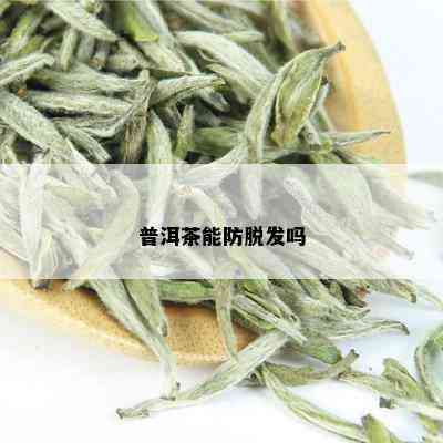 普洱茶能防脱发吗